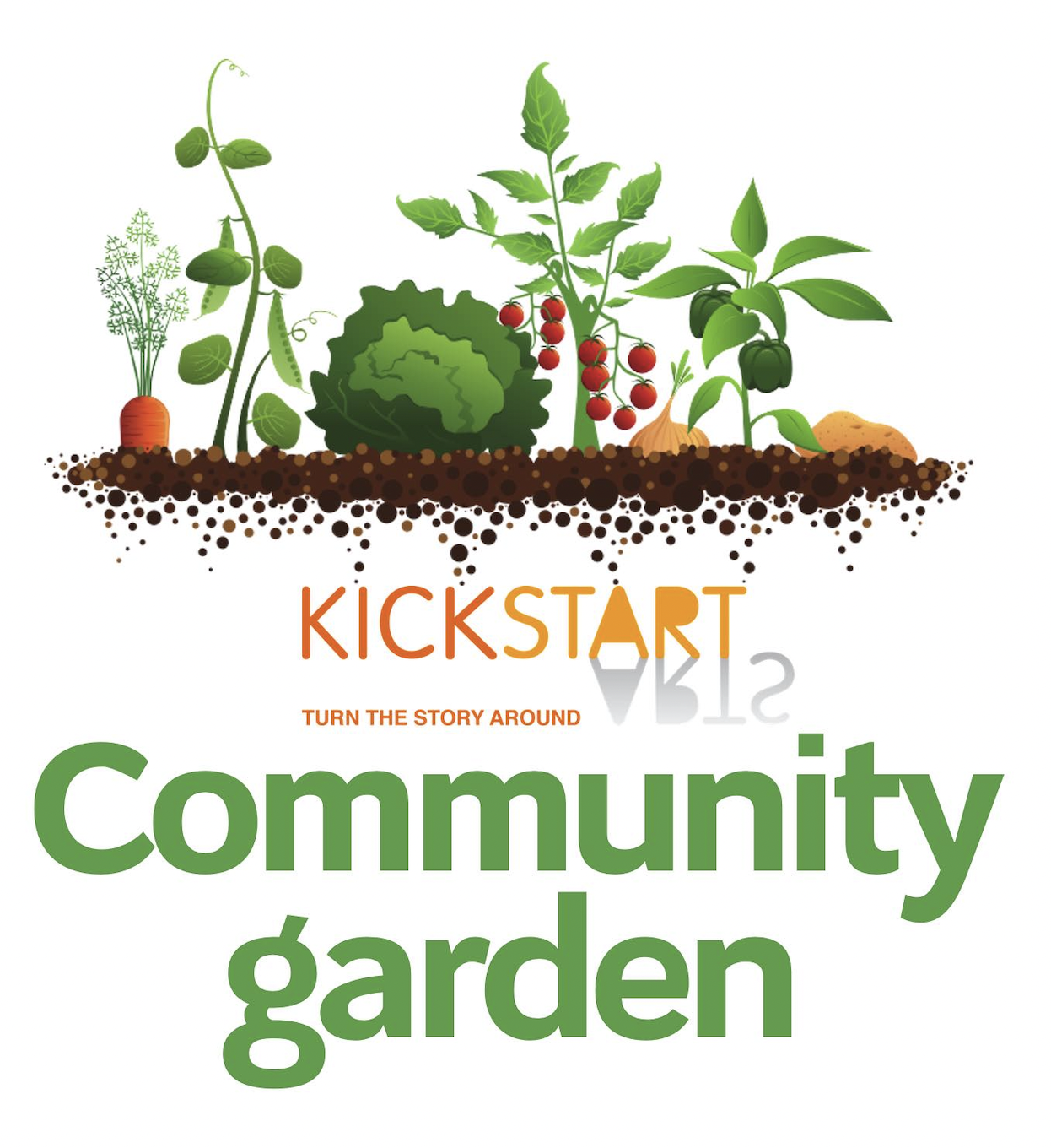 Sunflower Project Kickstart Arts Mental Health Council of Tasmania