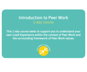 Introduction to Peer Work - 1 Day Course - This 1 day course seeks to support you to understand your own Lived Experience within the context of Peer Work and the surrounding framework of Peer Work values. Click here to learn more.